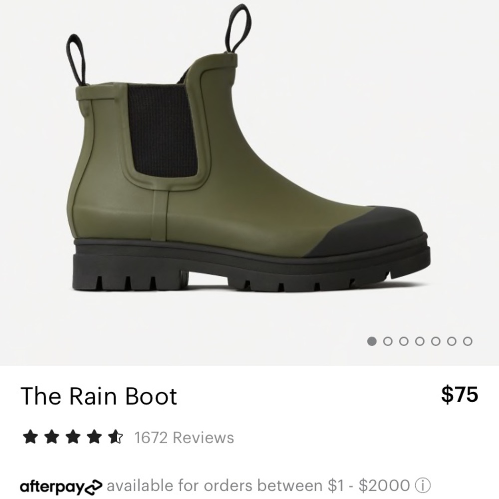 Everlane all weather Chelsea boots